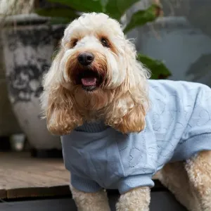 Kazoo Heart Knit Dog Jumper Blue 27cm