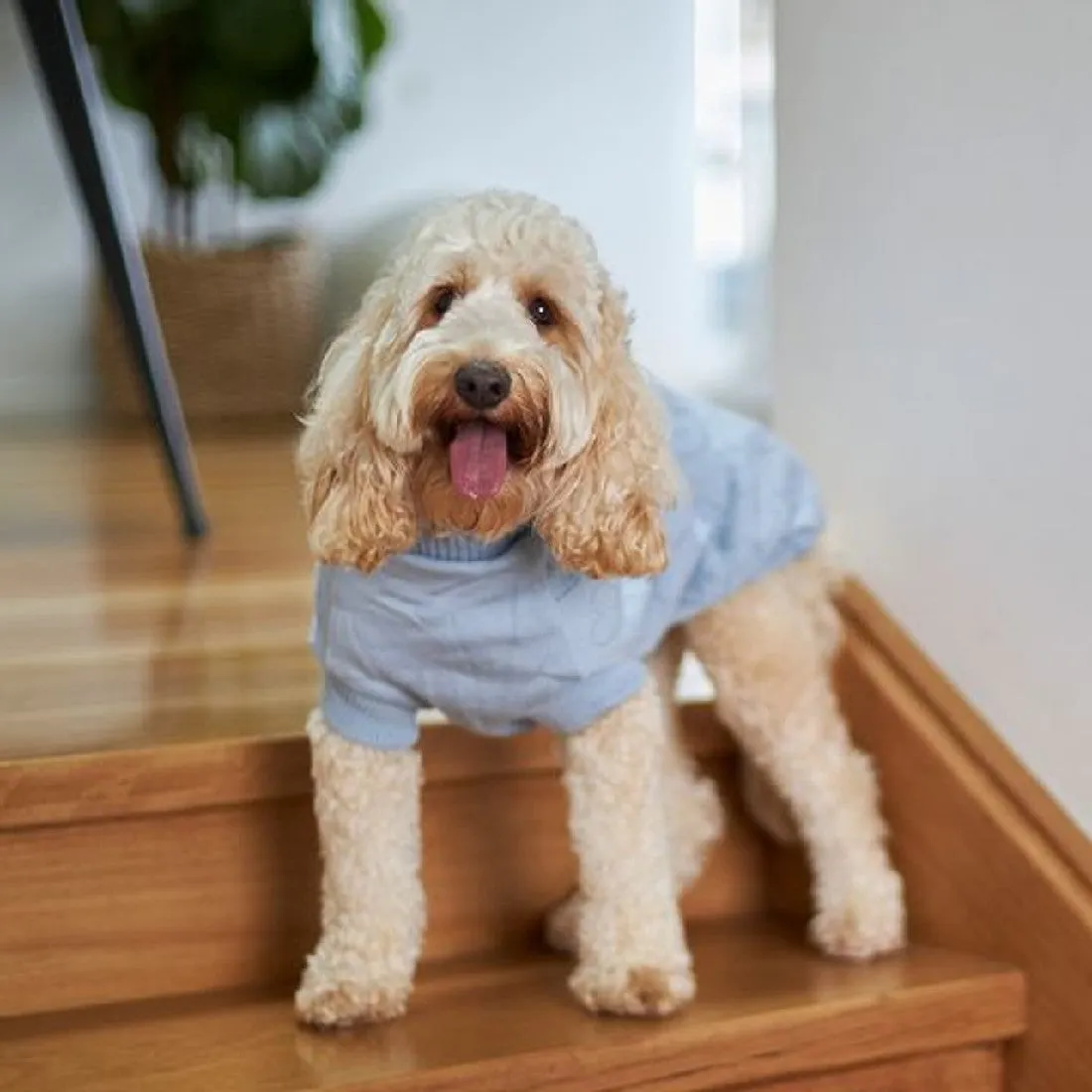 Kazoo Heart Knit Dog Jumper Blue 27cm